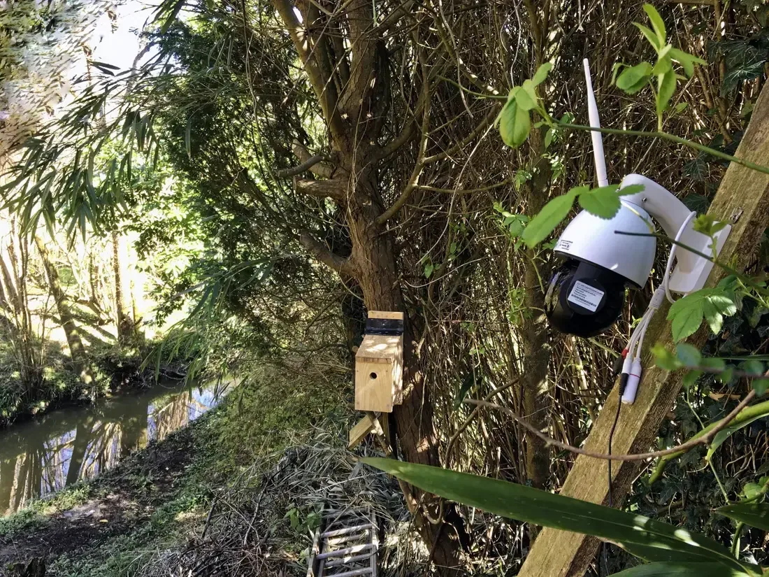 Vidéosurveillance et caméra IP à Saint-Maur-des-Fossés